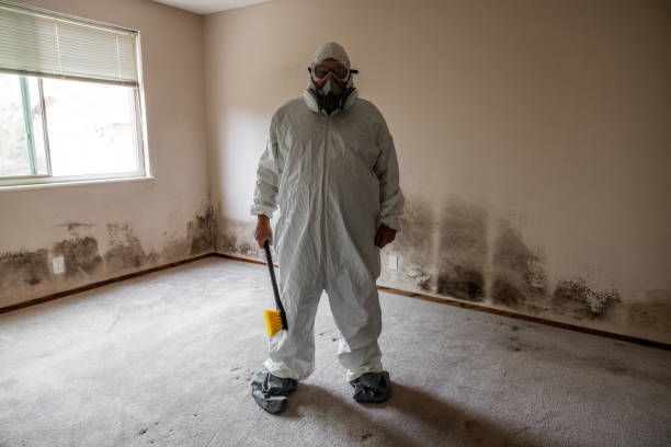 Best Crawl Space Mold Removal  in Sebastian, TX